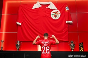 包含转折点！本菲卡强势反弹，亚冠冲刺阶段攻防权衡，态度坚定，赛季目标并未改变的词条-爱游戏网址